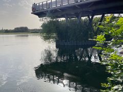 -大兴滨河森林公园