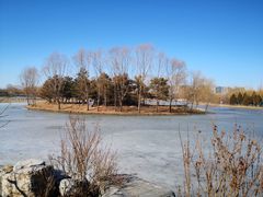 -大兴滨河森林公园