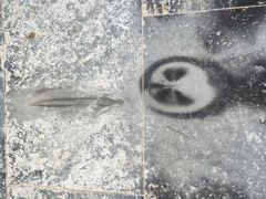 -赵州桥景区
