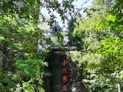 -汤旺河林海奇石景区