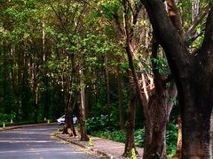 -南国桃园旅游度假区