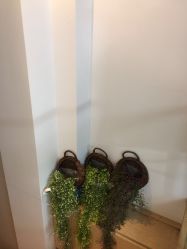 -谜秀韩式半永久纹眉纹绣洗眉