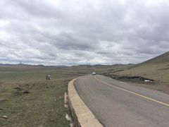 -金鼎雪山牦牛杂火锅(理县总店)