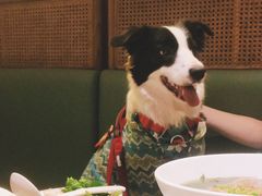 -PHO爺·越南料理(亦庄大族广场店)