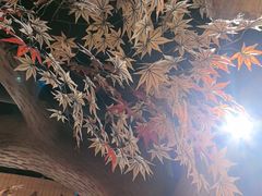-城墙拐拐火锅(三峡广场黑金冠店)