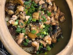 -红星光发煲仔饭(大石街店)