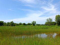 -野鸭湖国家湿地公园
