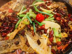 -老板恋上鱼(恒隆广场店)