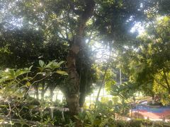-天河儿童公园
