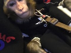 -盤古Spa泰式古法抓龙筋(鲁迅路店)