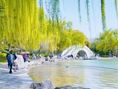 -洛阳市隋唐城遗址植物园