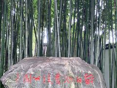-上海醉白池公园