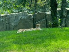 -北京野生动物园