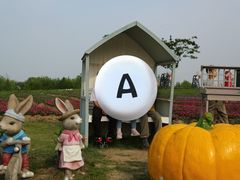 -同里国家湿地公园
