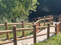 -白水寺森林公园