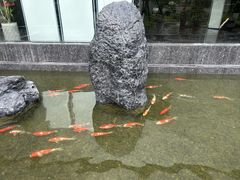 -雅苑中餐厅