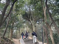 -灵顺寺