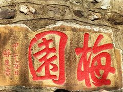-无锡梅园公园