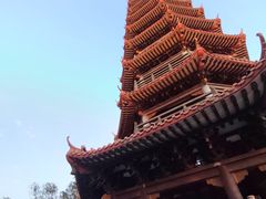 -红花山公园