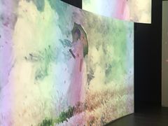 -印象莫奈时光映迹艺术展