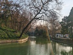 -扬州大运河文化旅游度假区·盆景园