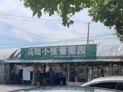 -马陆小张葡萄园农家乐