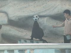 -泉州海丝野生动物世界