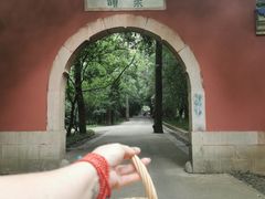 -灵谷景区