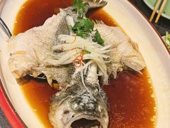 清蒸鲈鱼-北平盛世·新京菜·北京烤鸭(劲松·双井店)