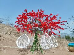 -南山特攻真人CS户外露营轰趴拓展基地