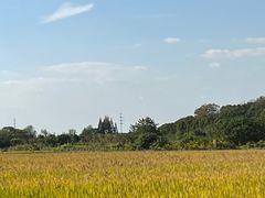 -上海佘山国家森林公园天马山园