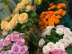 -BOBLOOM花店(宝龙旭辉广场店)