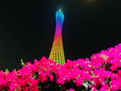 -广州塔
