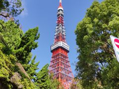 -东京塔海贼王主题公园