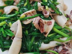 韭菜炒海兔-清香园大连老菜馆(成仁街店)