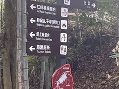 -塔川景区