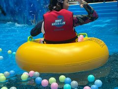 -青岛东方影都融创水世界