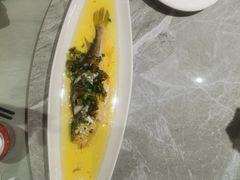 -老绍兴养和饭店(向阳不夜城店)