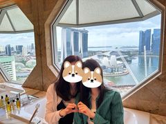 -新加坡丽思卡尔顿美年酒店