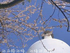 -北海公园