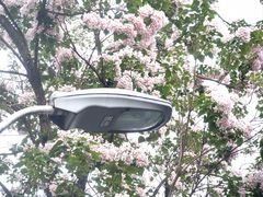 -漕溪路(地铁站)