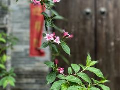 -老门东历史文化街区