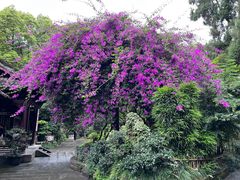 -成都杜甫草堂博物馆
