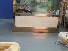 -朋朋修脚(友好广场店)