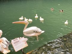-海南槟榔谷黎苗文化旅游区