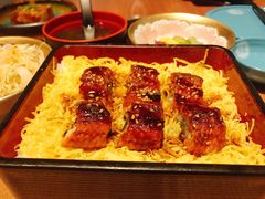 -晴季寿司(活力城店)