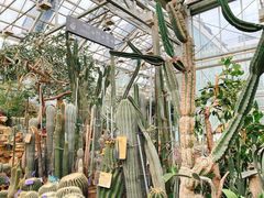 -国家植物园南园