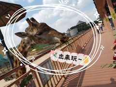 -鄂尔多斯野生动物园