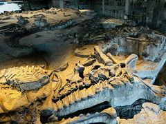 -自贡恐龙博物馆