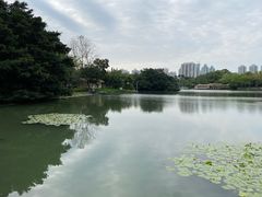 -荔枝公园(福田区)
